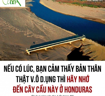 NẾU MỘT NGÀY BẠN CẢM THẤY MÌNH THẬT VÔ DỤNG, HÃY ĐỌC BÀI VIẾT NÀY!